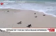 Việt Nam top 7 for sea turtle release experiences