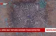 El Niño may return sooner than expected