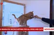 EU mandates microchipping for all dogs and cats