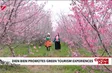 Điện Biên promotes green tourism experiences