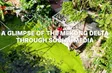A glimpse of the Mekong Delta through social media | Vibes of Vietnam
