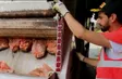Brussels shapes green future through waste sorting