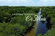 Drifting towards Cà Mau | Vibes of Vietnam