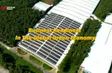 The Point 1: Business Readiness In The Global Green Economy | 20.05.2026