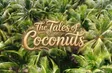 The Tales of Coconuts | Vibes of Vietnam