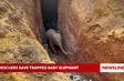 Rescuers save trapped baby elephant
