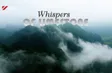Whisper of the Limestone | Discovery