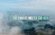Cát Bà - Where the forest meets the sea | Heritage Journey