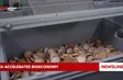 EU accelerates bioeconomy