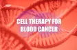Cell Therapies for Blood Cancer | Health Matters