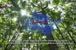 Việt Nam seeks to capitalise on carbon market opportunities | Bizline