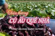 Home’s Beloved Water Caltrop | Vibes of Vietnam