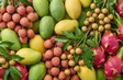 Taste of Mekong Delta in Hồ Chí Minh City