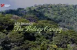 Life Beneath the Bidoup Canopy | Echoes of the Wild