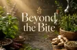 Beyond the Bite | Flavours and Beyond