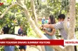 Farm tourism draws summer visitors