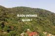 Tà Kóu untamed - Episode 1 | Insights