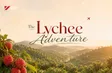 The Lychee Adventure | Local Towards Global