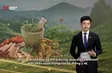 Việt Nam taps economic potential of medicinal plants | Bizline