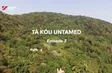 Tà Kóu untamed - Episode 3 | Insights