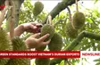 Green standards boost Việt Nam’s durian exports