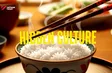 The art of Vietnamese dining etiquette | Vietnam Explained