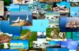 Côn Đảo Wildlife goes live for first time