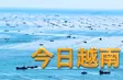 China Link | 24.06.2026