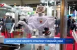 Japan's new growth strategy through 2040