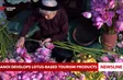 Hà Nội develops lotus-based tourism products