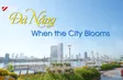 Đà Nẵng - When the City Blooms | Hello Vietnam