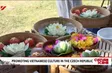 Promoting Vietnamese culture in the Czech Republic
