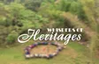 Whisper of Heritages | Discovery