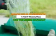 Agricultural by-products: A new resource for the green economy | Vibes of Vietnam
