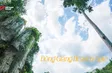 Đông Giang Heaven Gate | Vibes of Vietnam