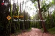 Majestic Bình Châu – Phước Bửu Forest | The Rhythms of Vietnam