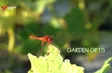 Garden Gifts | Vibes of Vietnam