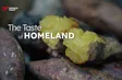 The Taste of Homeland | Vibes of Vietnam