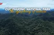 Cúc Phương National Park | Vietnam Destination