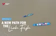 Tracing Linh fish: Ep 7 - A new path for Linh fish | Vibes of Vietnam