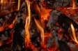 Where the mountain smoke rises | Flavours & Beyond
