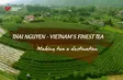 Thái Nguyên - Việt Nam’s finest tea | Local Towards Global