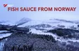 Fish sauce from Norway | Vietnam Imprints