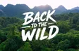 Back to the wild | I-Report