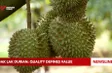 Dak Lak durian: Quality defines value