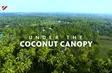 Under the Coconut Canopy | Vibes of Vietnam