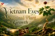 Vietnam Eyes Medicinal Plant Growth | Vibes of Vietnam
