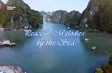 Peaceful Melodies by the Sea | Vibes of Vietnam