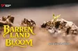 Barren Land in Bloom | The Lens