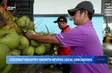 Coconut industry growth revives local livelihoods
